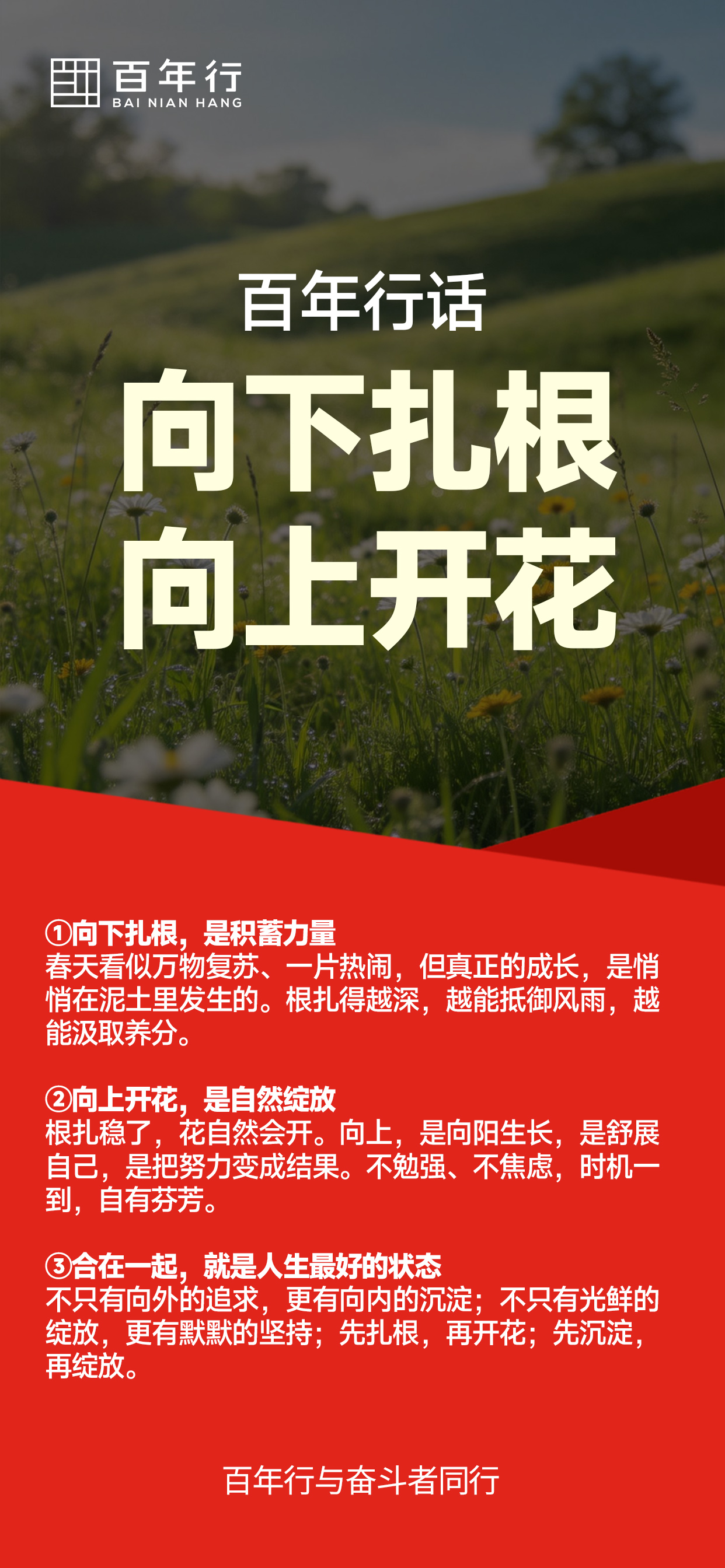 百年行话：向下扎根，向上开花